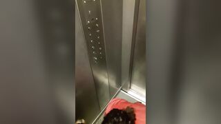 Born to Get Fucked: 3 Sluts In An Elevator #4