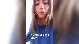 Chloe Bennet: Remember that time she found a dead bird in her living room? #3