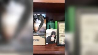 Billie Eilish: my billie eilish merch shelves! #2